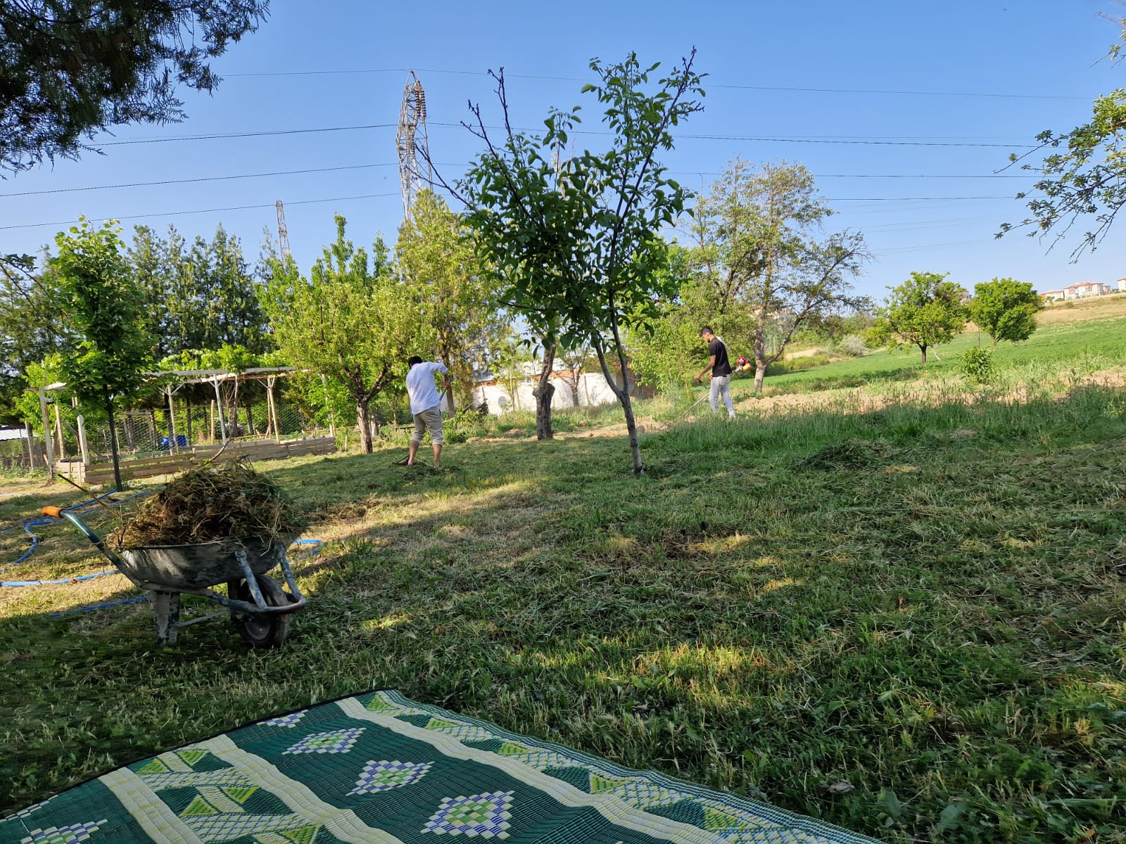 Medreseden